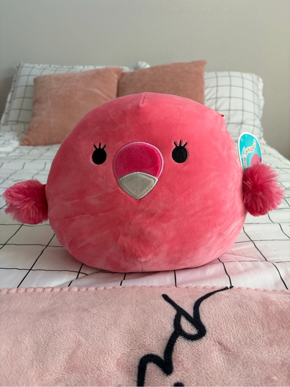 Squishmallows cookie the pink flamingo 8”